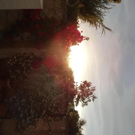 Theni Olive Grove Villa