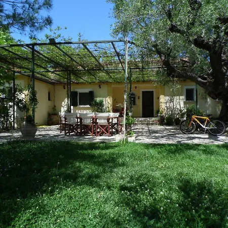 Villa Theni Olive Grove *