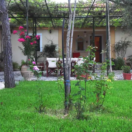 Villa Theni Olive Grove Kato Yerakarion