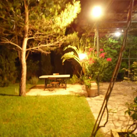 Villa Theni Olive Grove