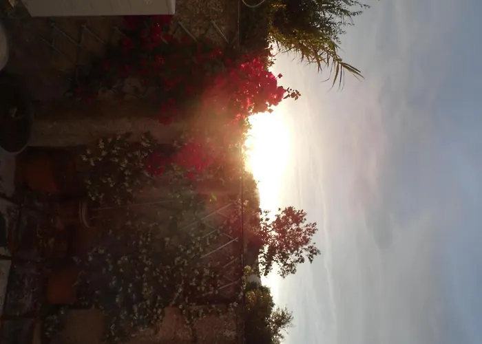 Theni Olive Grove Villa