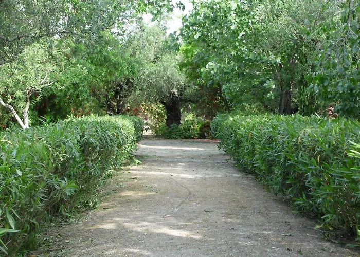 Theni Olive Grove * Kato Yerakarion