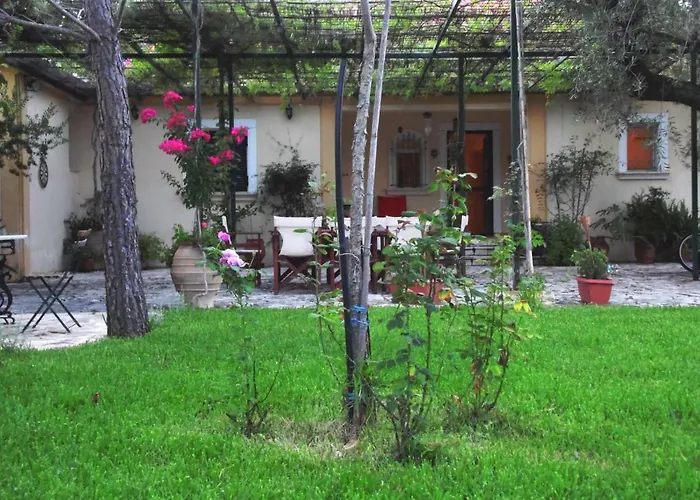 Villa Theni Olive Grove Kato Yerakarion