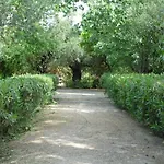 Theni Olive Grove * Κάτω Γερακάρι