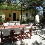 Theni Olive Grove * Κάτω Γερακάρι