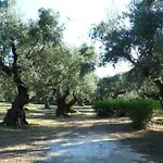 Theni Olive Grove * Κάτω Γερακάρι
