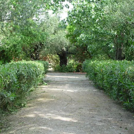 Theni Olive Grove * Kato Yerakarion